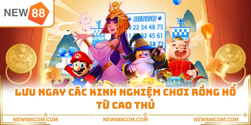 Lưu ngay các kinh nghiệm chơi rồng hổ từ cao thủ